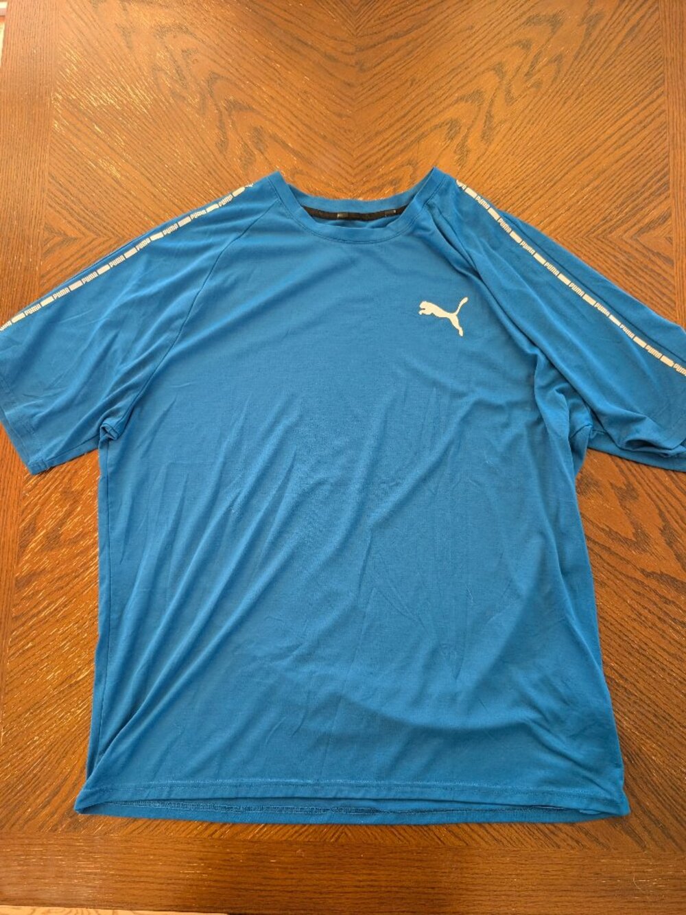 Puma Men's XL Blue Performance T-Shirt 100% Polyester Lightweight
